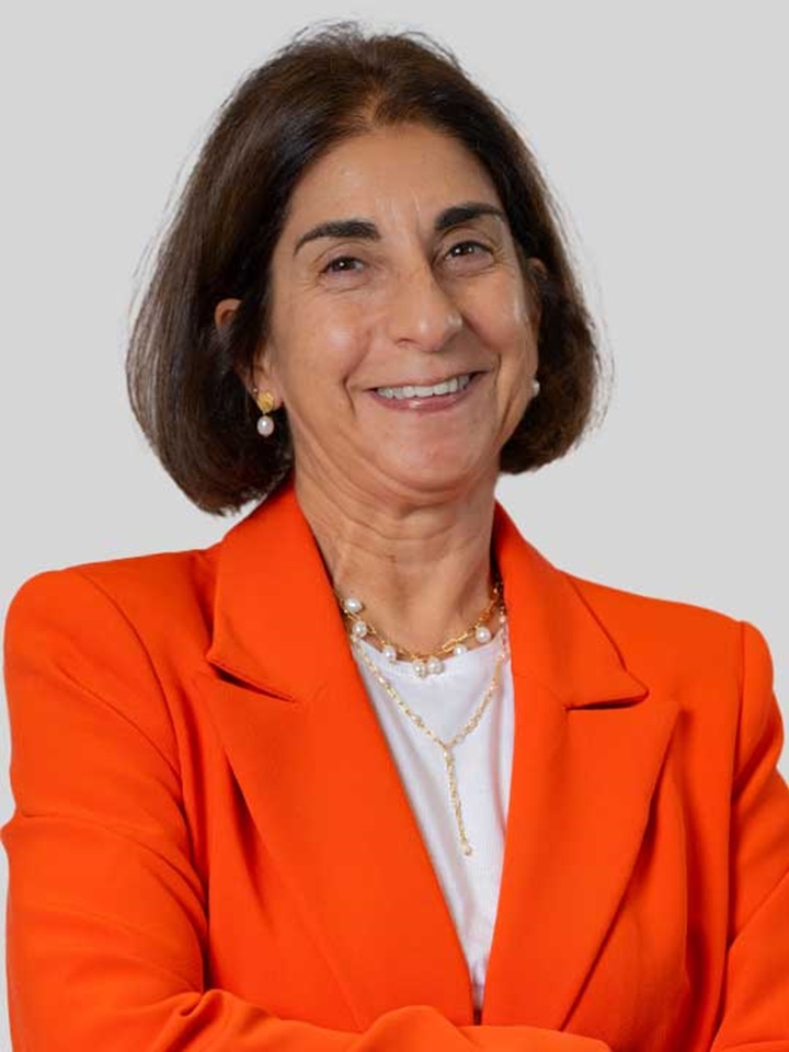 Teresa Gandara Noesis Corporation